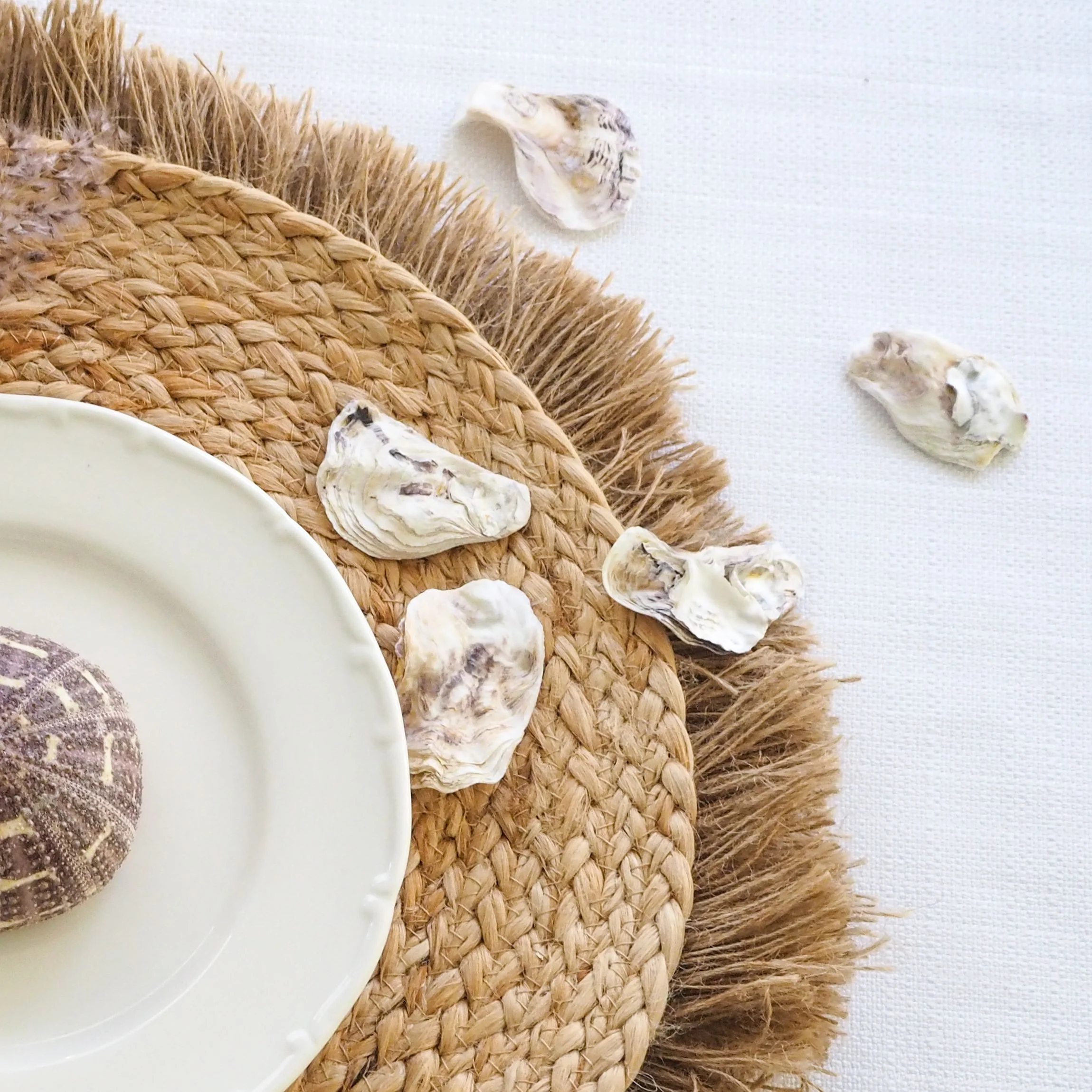 White and Purple Rustic Oyster Shells - 1 Kg - Image 2