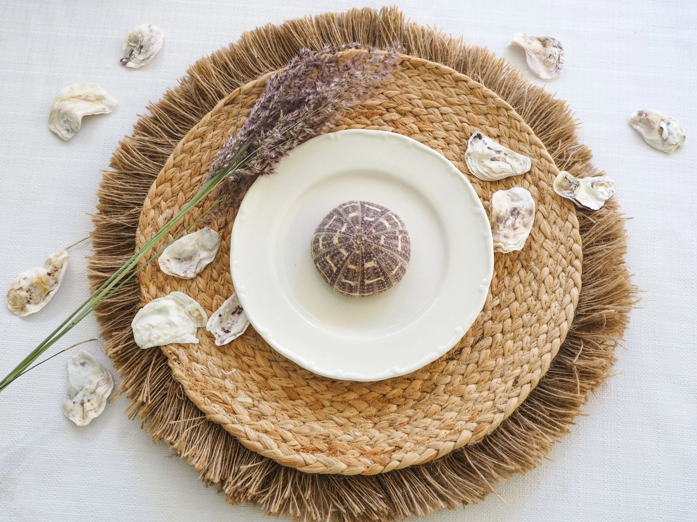 White and Purple Rustic Oyster Shells - 1 Kg - Image 3