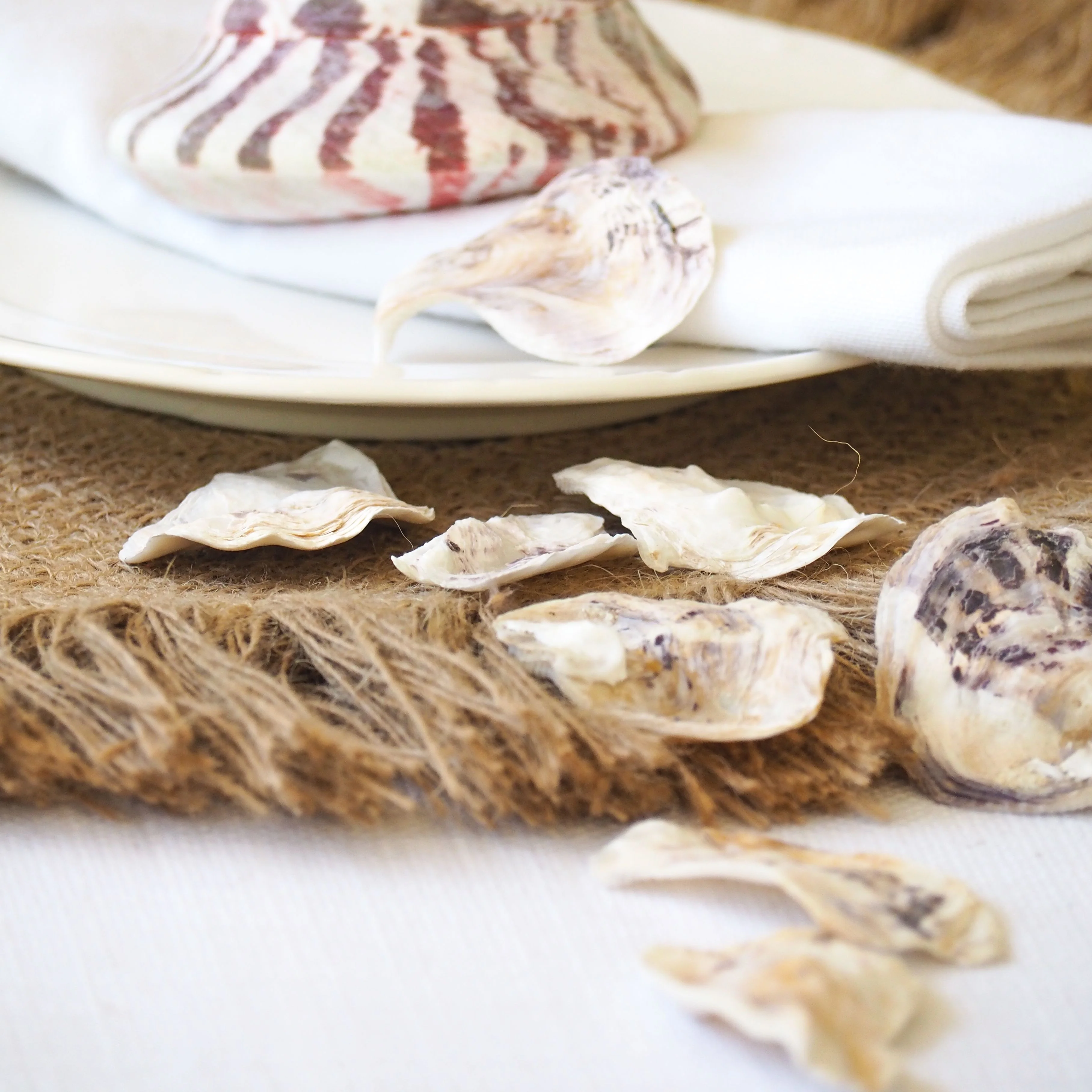 White and Purple Rustic Oyster Shells - 1 Kg - Image 4