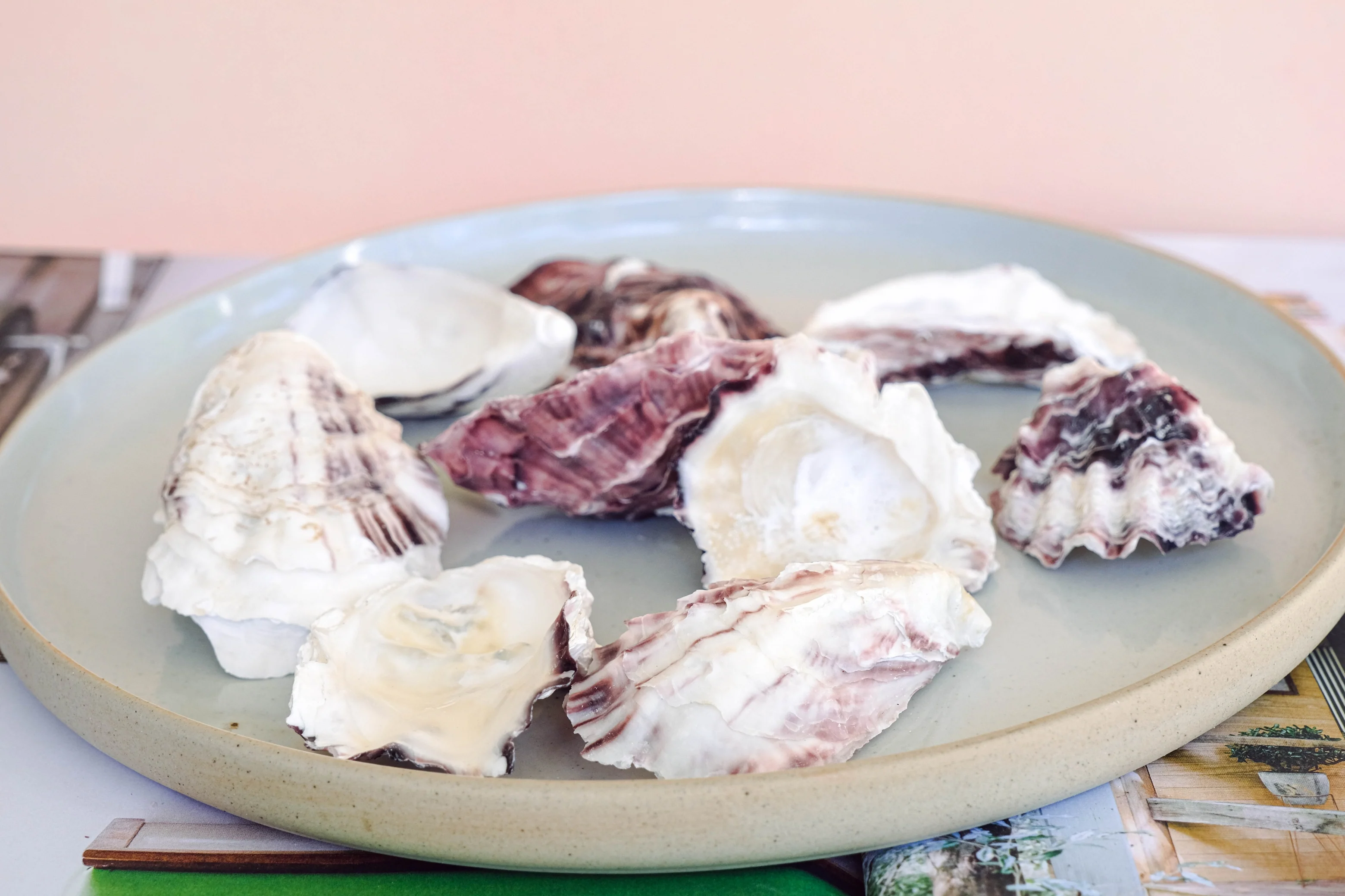White and Purple Rustic Oyster Shells - 1 Kg - Image 6