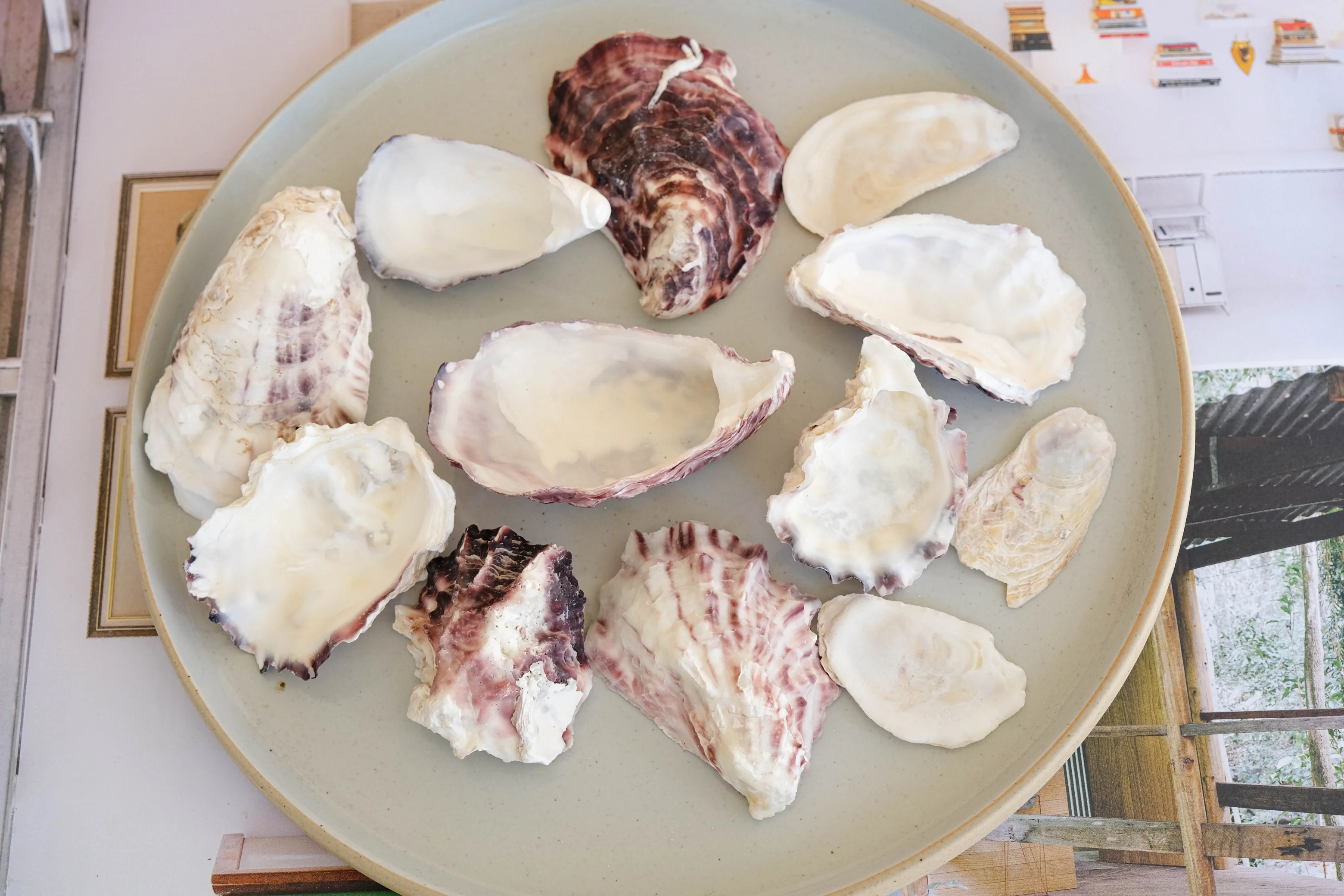 White and Purple Rustic Oyster Shells - 1 Kg - Image 7
