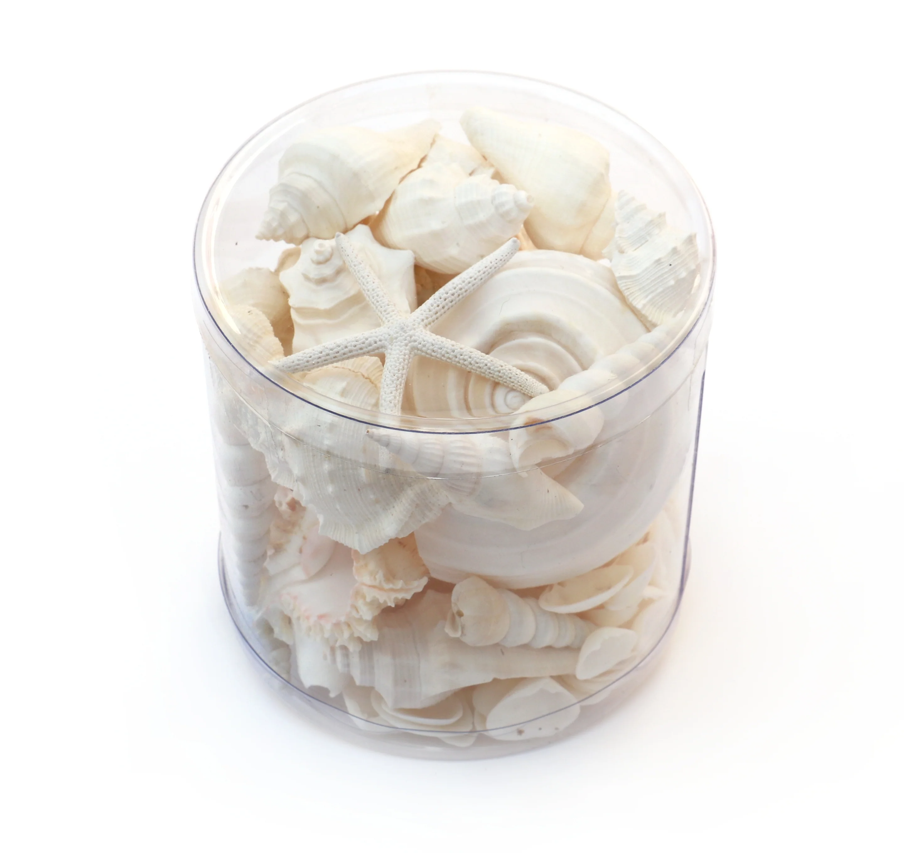 Premium Seashell Pack - White Whisper - Image 3