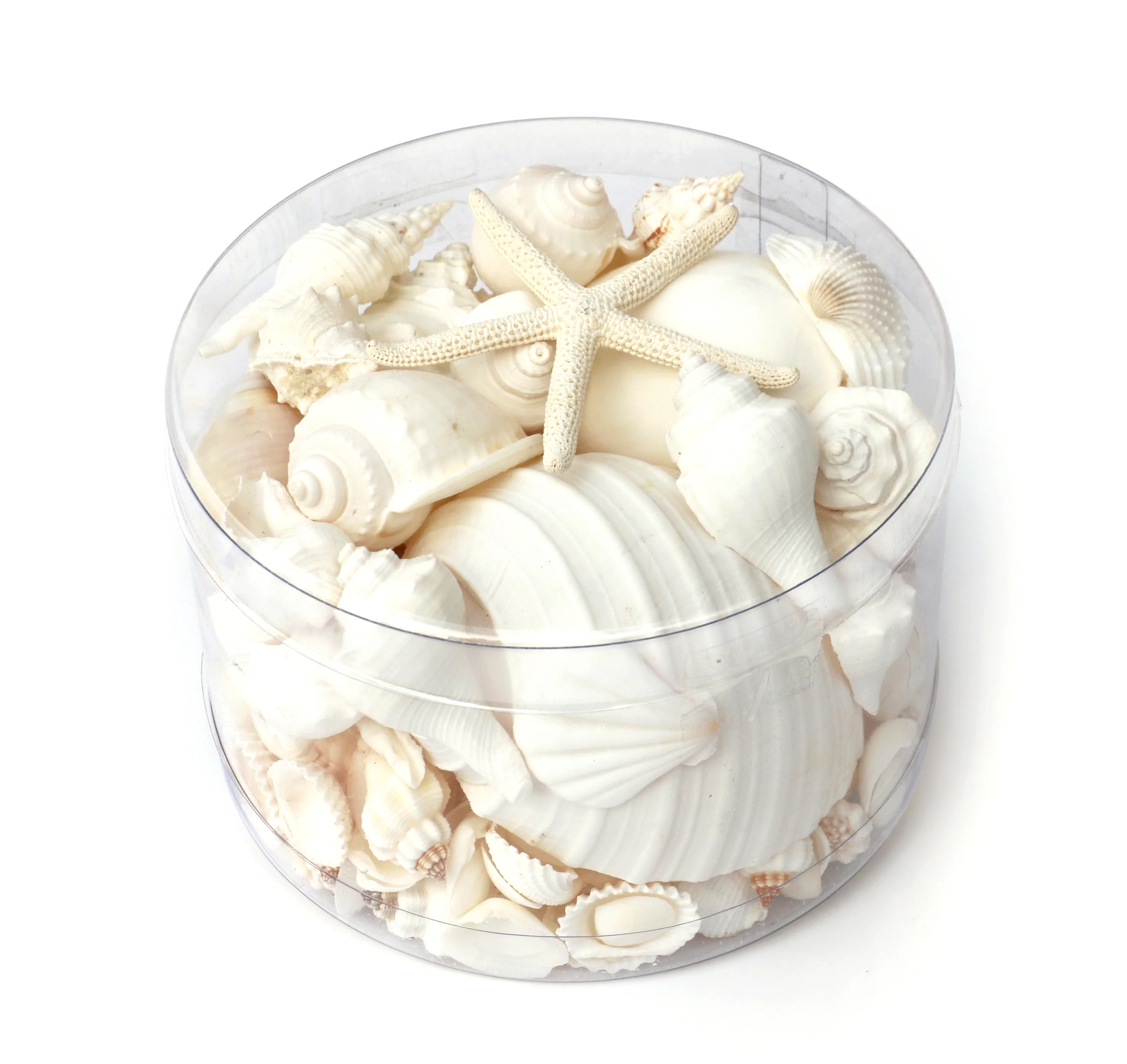 Premium Seashell Pack - White Whisper - Image 4