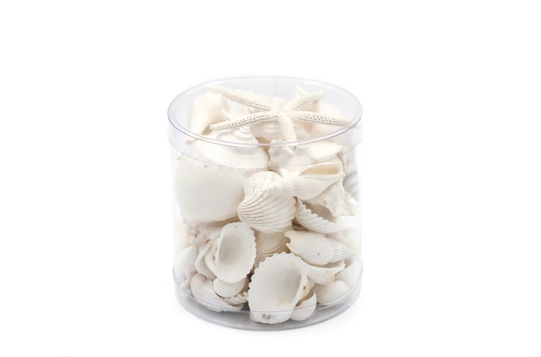 Premium Seashell Pack - White Whisper - Image 6