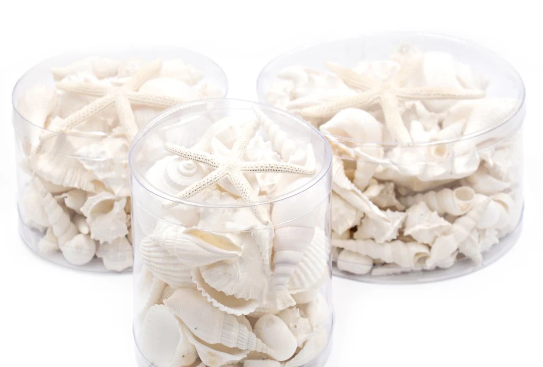 Premium Seashell Pack - White Whisper - Image 8